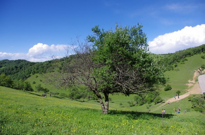 白癜风患者要如何调整心理状态