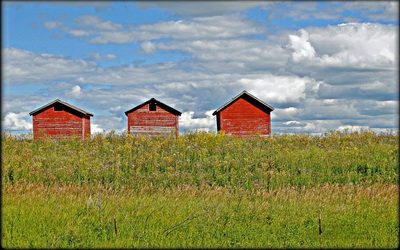 白癜风的发病原因以及症状都有哪些