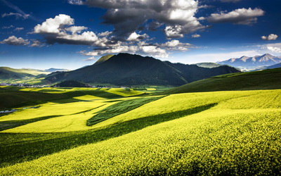 认知白癜风诊断依据