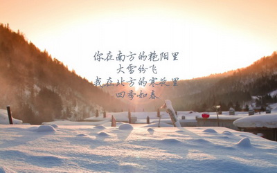 白斑病患者冬季也可吃凉拌黑木