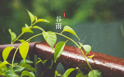 得了白癜风饮食有哪些要求