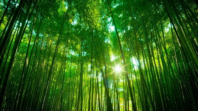 腹部白癜风预防措施有哪些