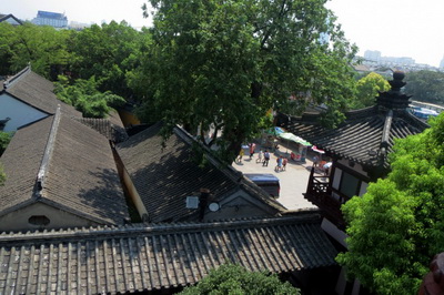 动物咬伤会导致白癜风诱发