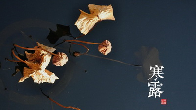 专家介绍白驳风三种类型