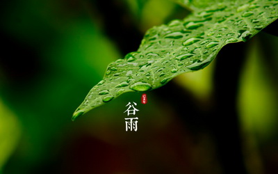 白癜风初期诊断方式