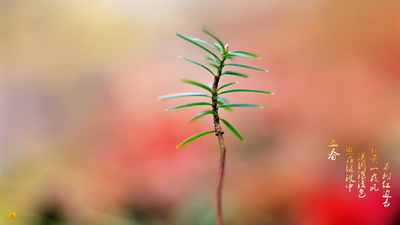 治疗儿童白驳风要日常要注意什么