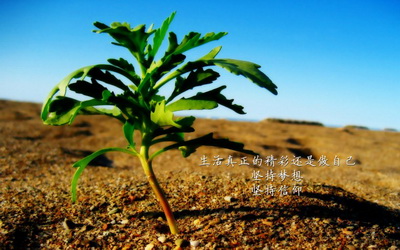 白癜风患者服用六味地黄丸的注意事项