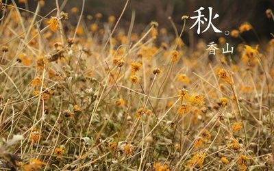 专家分析怎样防治白癜风
