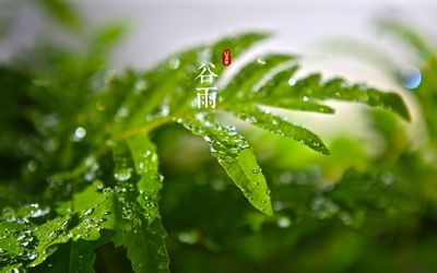 治疗儿童白斑病的注意事项