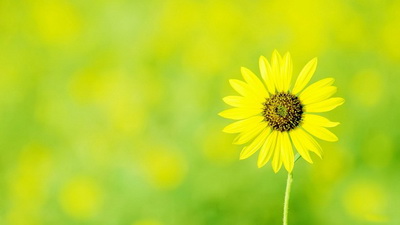 中医治疗白癜风，中医把白癜风分几类