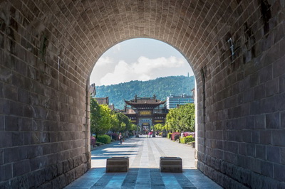 白癜风是什么因素引起的