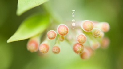 白斑病的治疗过程中需要注意的生活细节