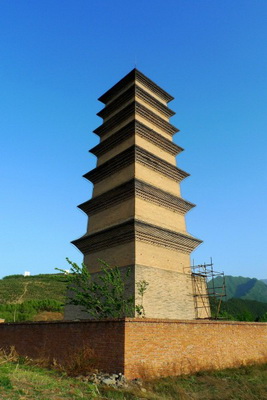 得了白驳风怎样治