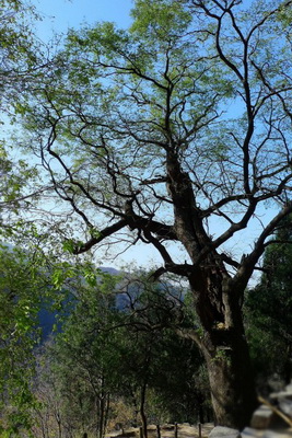 山西稷山白癜风医院