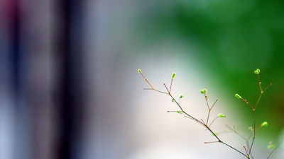 深究白癜风发生主要是哪些原因引起